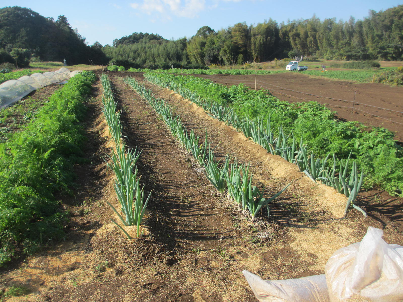 一六八(ひろや)農園：茨城県行方市